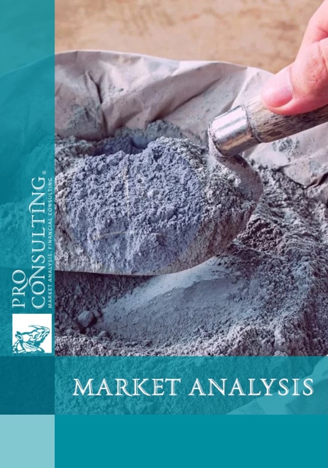 Analysis of the dry construction mixes market in Ukraine. 2021